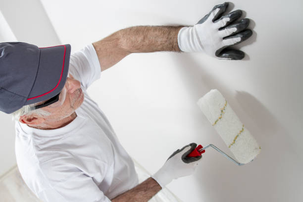 Wallpaper Removal and Painting in Wesley Chapel, FL