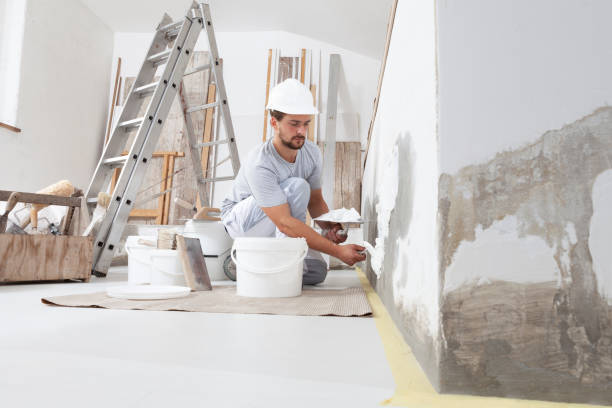 Best Drywall Sanding and Smoothing  in Wesley Chapel, FL