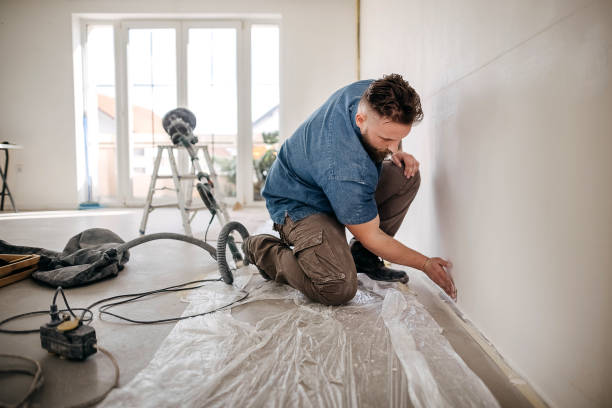 Best Drywall Crack Repair  in Wesley Chapel, FL